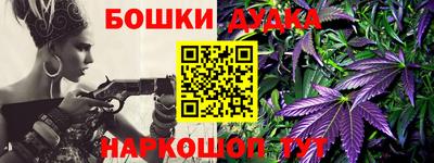 дурь Гай