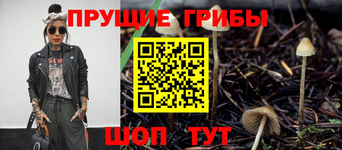 Галлюциногенные грибы мицелий  Вход с VPN  Гусиноозёрск  Галлюциногенные грибы прущие грибы 
