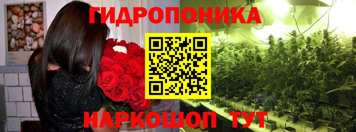 Гусиноозёрск  МАРИХУАНА VHQ  Канабис план  Вход с VPN  Бошки марихуана ГИДРОПОН 